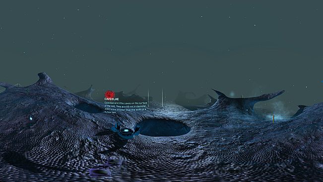 Journey to the Centre of the Cell