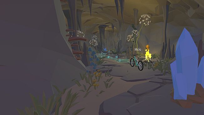 Chained Bikes