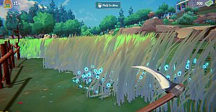 Grass and Cash