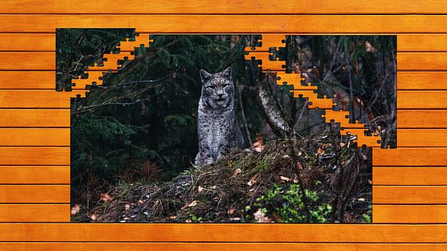 Wild Lynx Jigsaw - Expansion Pack 1
