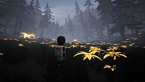 Bound Forest Alpha