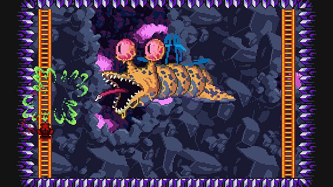 M.A.D. Cows and D.U.M.B. Ducks Bundle