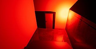 Night Project - Johan Experiment