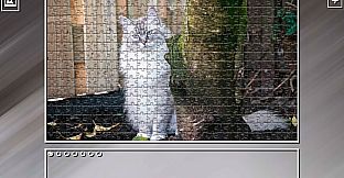 Super Jigsaw Puzzle: Generations - Cats 3