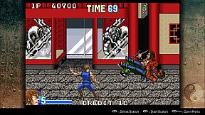Double Dragon Advance