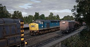 Train Sim World 6: BR Heavy Freight Pack