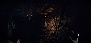 Today Is My Birthday