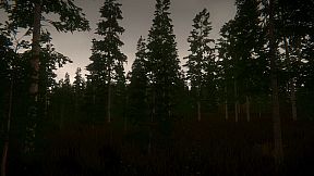 Pastor's Lake: The Game