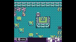 Toni Island Adventure