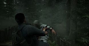 The Pines