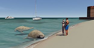 Aerofly FS 2 - USA South Florida