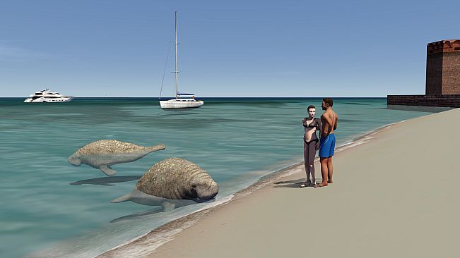 Aerofly FS 2 - USA South Florida