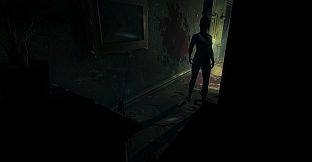 Outbreak Narrative Collection