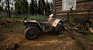 The Gold River Project