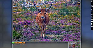 Jigsaw Puzzle Pack - Pixel Puzzles Ultimate: Animals