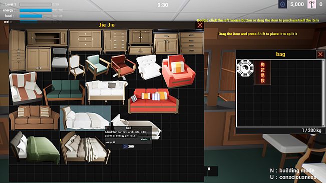 Plum Blossom Divination