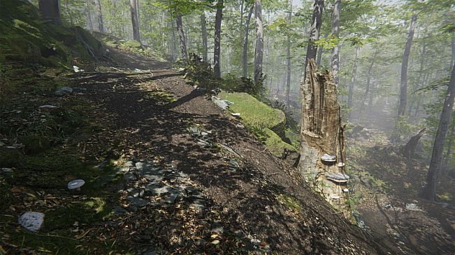 Mushroom Collector Simulator