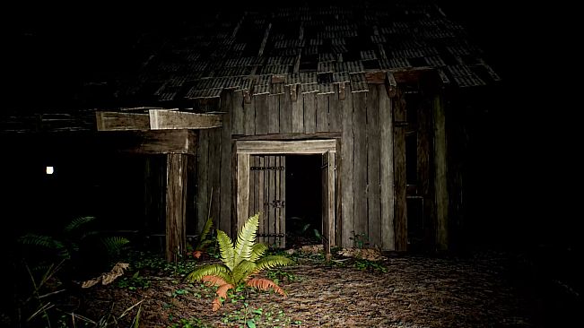 Red Light White Light