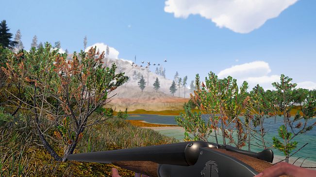 Birds Hunter