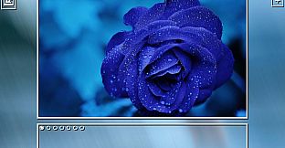 Super Jigsaw Puzzle: Generations - Flowers Puzzles