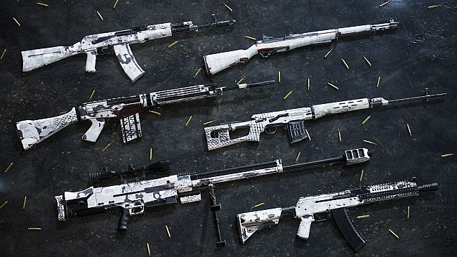 Insurgency: Sandstorm - Whiteout Weapon Skin Set