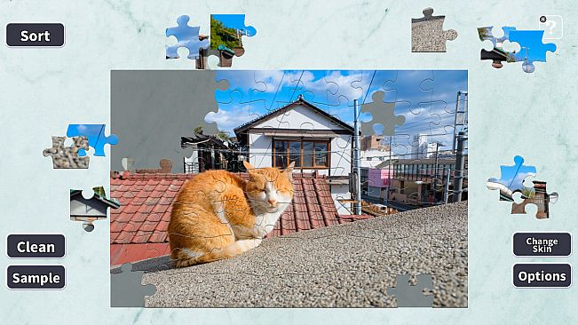 Jigsaw Masterpieces : Street Cats in Japan