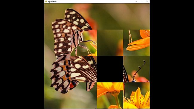 hgmGame-butterfly
