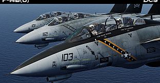 DCS: F-14B(U) by Heatblur Simulations