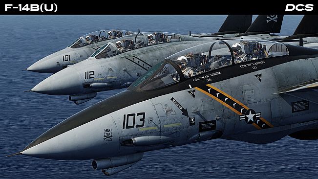DCS: F-14B(U) by Heatblur Simulations