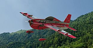 RealFlight Evolution - 2023 Year Content Pass