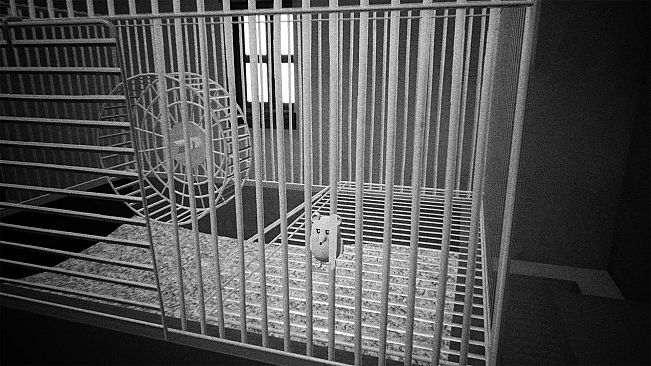 Totally Ratical Adventures