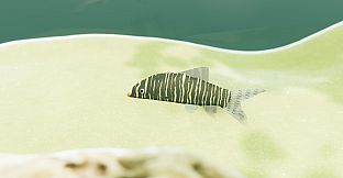 Fish Game - Indian Subcontinent Fish Pack 1