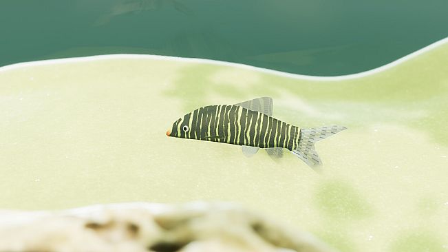 Fish Game - Indian Subcontinent Fish Pack 1