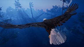 AWAY: The Survival Series