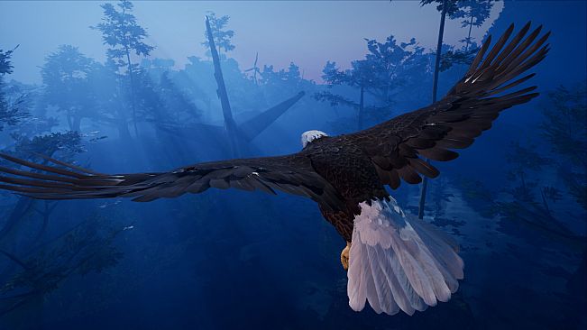 AWAY: The Survival Series