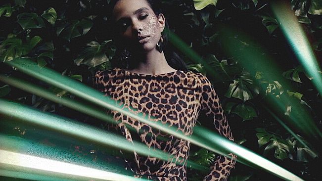 Movavi Video Editor 2024 - Euphoria Overlay Pack