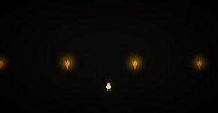 Behind Closed Doors: A Developer's Tale