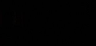 Dick Shortson. The Detective.