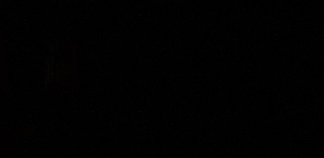 Dick Shortson. The Detective.