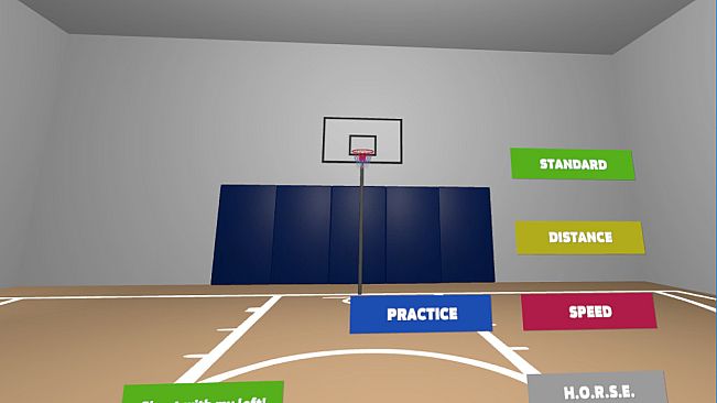 Basketball Court VR