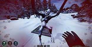 NUNBORA: Frostblind