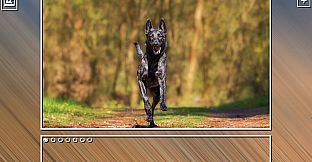 Super Jigsaw Puzzle: Generations - Dogs Puzzles