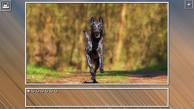 Super Jigsaw Puzzle: Generations - Dogs Puzzles