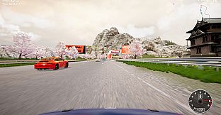 CarSim Racing