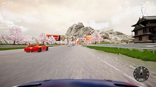 CarSim Racing