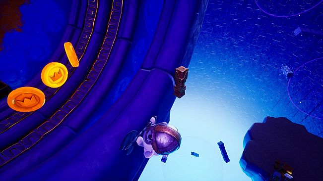 A Monkey's Adventure