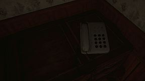 The Flower Inspector