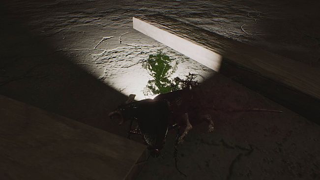 Cockroach Simulation