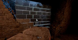 The Dark Forest: Survival