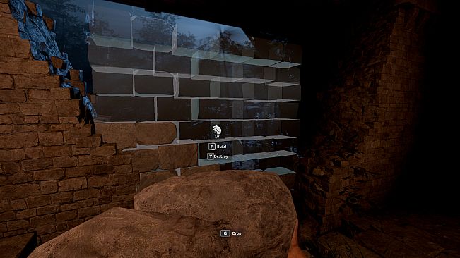 The Dark Forest: Survival